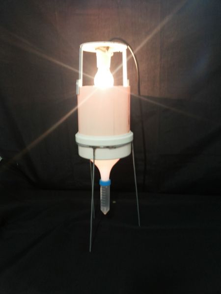 Funil de Berless  adaptado para pequenos insetos