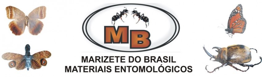 Marizete do Brasil Materiais Entomológicos